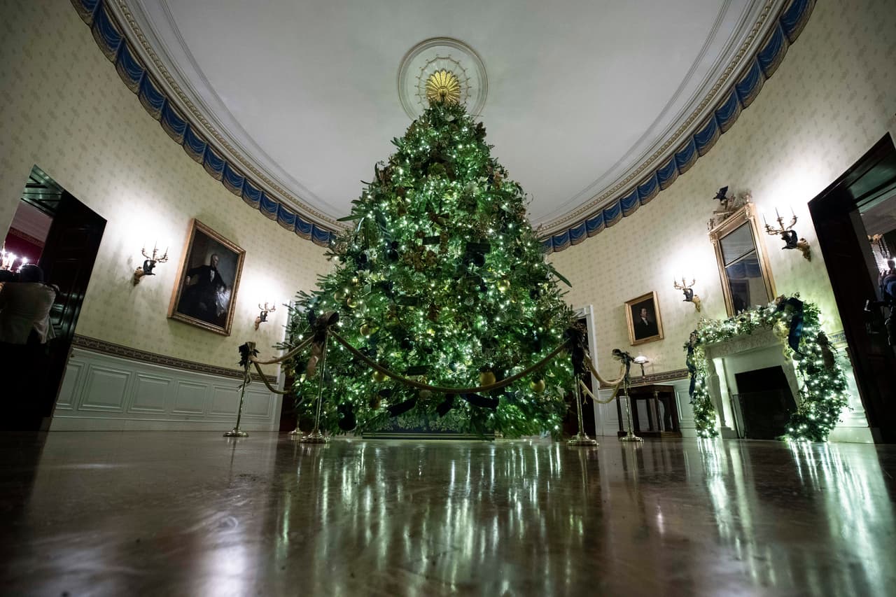 El árbol de navidad oficial, que
<a href="https://www.univision.com/noticias/trending/el-comienzo-de-la-navidad-en-washington-dc-melania-trump-recibe-el-arbol-que-adornara-la-casa-blanca-en-2019-fotos-fotos">llegó la semana pasada desde Pitman, Pennsylvania</a>, como siempre en el Salón Azul. Fue adornado con flores de papel hechas a mano, representativas de las flores estatales de los 50 estados.