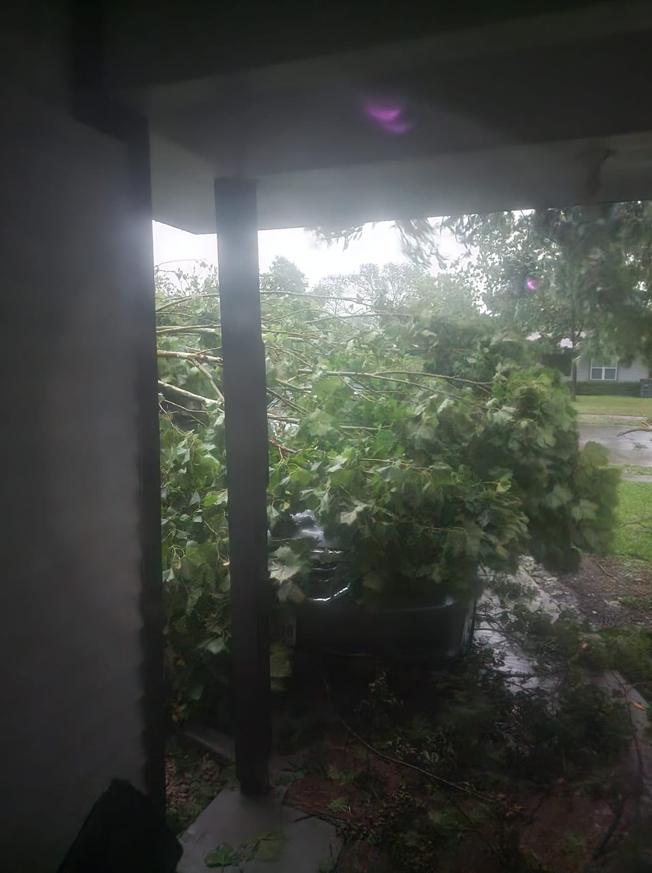 El 
<b>fin de semana largo por Memorial Day, <a href="https://www.univision.com/local/dallas-kuvn/cinco-muertos-heridas-texas-tormentas-severas" target="_blank">al menos siete personas murieron en Texas</a></b>; más de 20 víctimas por el mal tiempo en cinco estados del país.