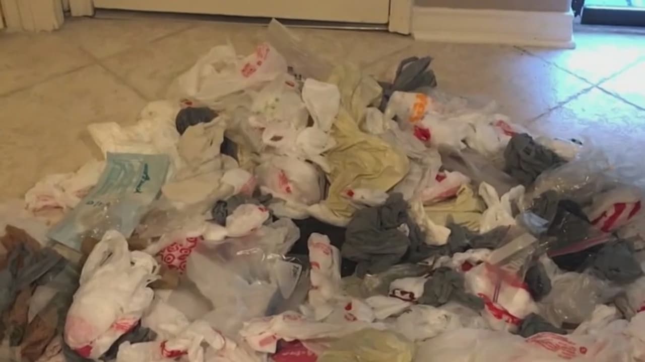 Ahogados en basura: ¿Qué puede hacer en casa para evitar dañar al medio ambiente?