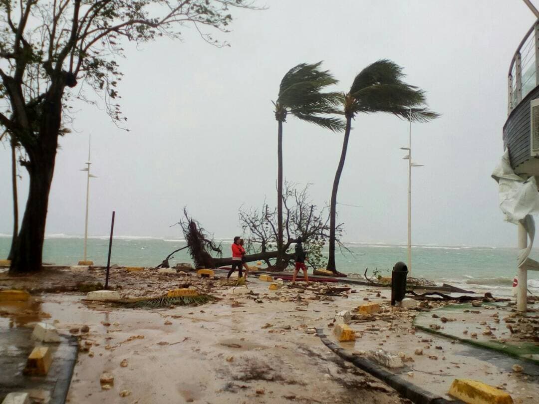 Destrozos en frente al mar en Sainte-Anne, Guadalupe. En Dominica el huracán arrasó la isla.