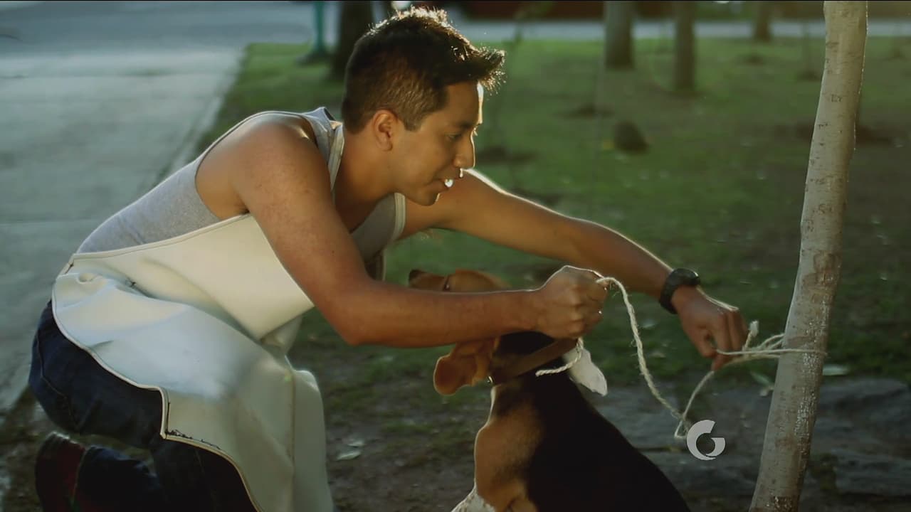 Mientras Poncho intenta ayudar al 'Carnitas', el taquero intenta llevarse nuevamente al pobre perro.