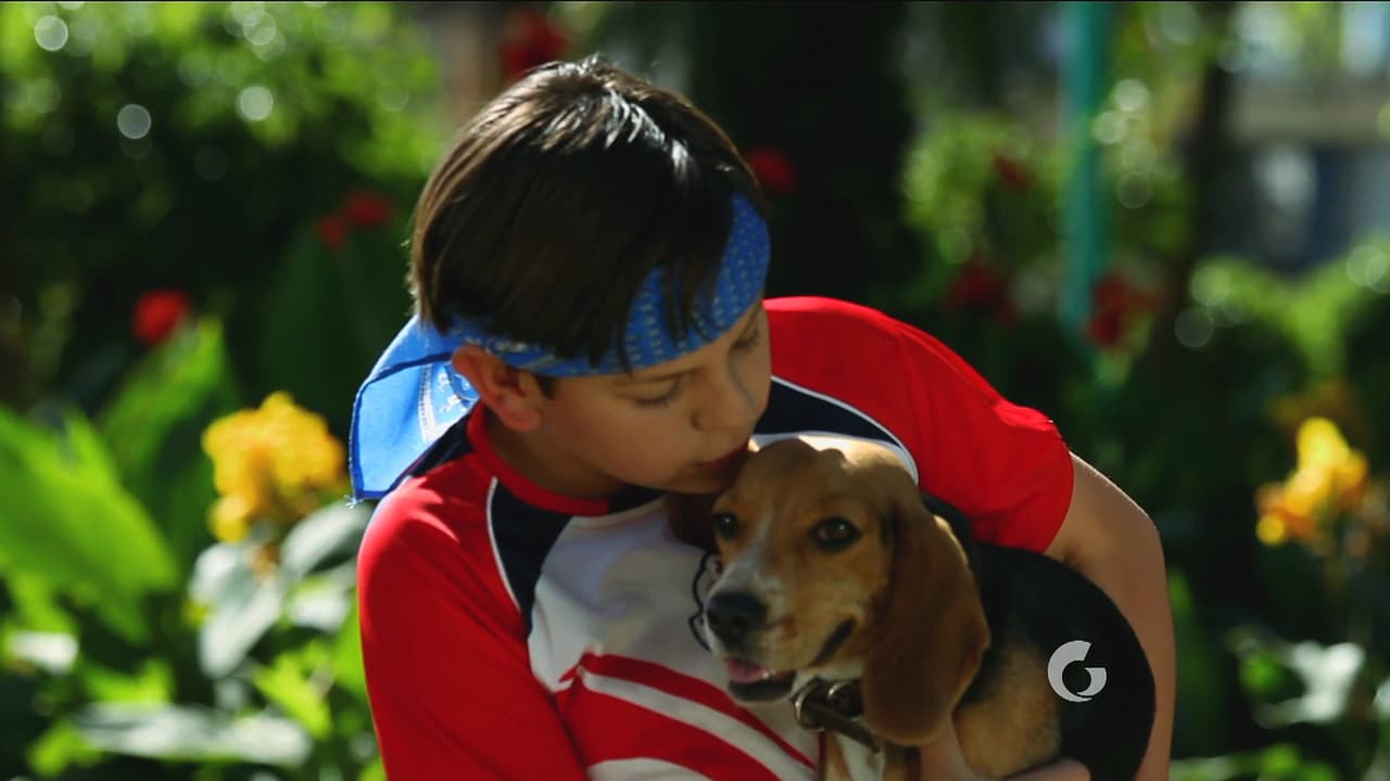 El tierno can está seguro de nuevo y llegó el momento de encontrar a su dueño.