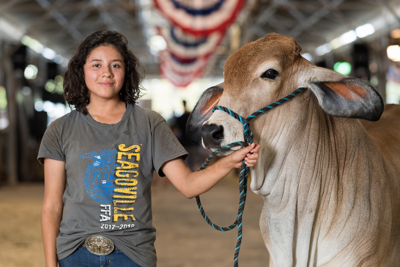 Entre las novedades del 2018 habrá 
<a href="https://bigtex.com/event/livestock-birthing-barn/2018-09-28/">un establo de nacimientos</a>, en el que los visitantes podrán presenciar partos de varios animales.