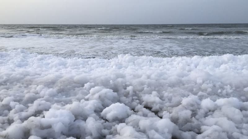 Cierran playas en el Golfo de México tras la aparición de una misteriosa espuma blanca: ¿Qué es y por qué se formó?