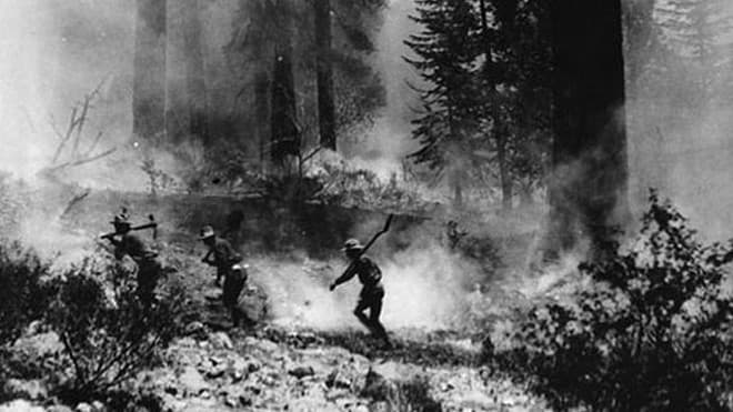 <b>Matilija</b>, septiembre de 1932
<br>220,000 acres
<br>Condado Ventura
<br>Nunca se determinó lo que ocasionó este incendio, según Cal Fire.