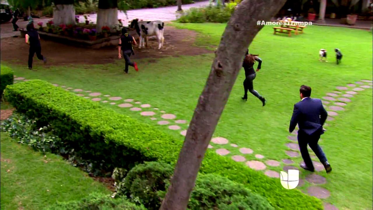 Al verse derrotados, decidieron huir del lugar.