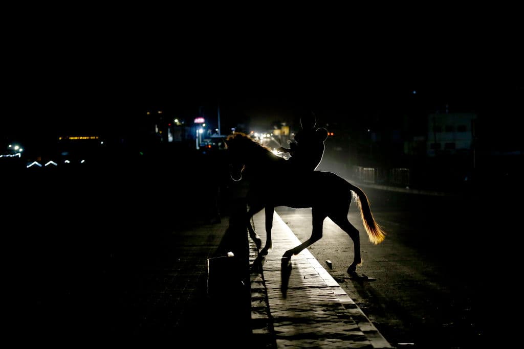 Hombre de 65 años atropella a caballo y su jinete en Corozal