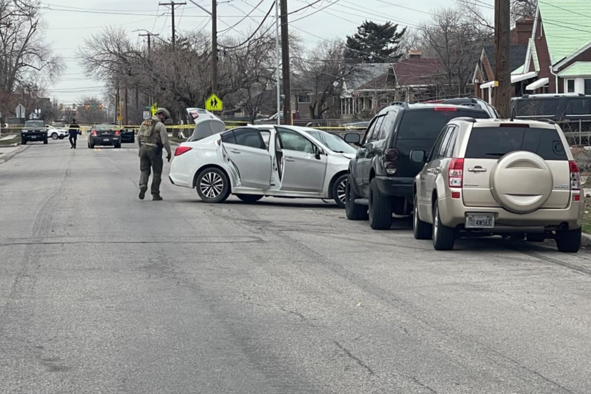 Los testigos dijeron que después del golpe del vehículo vieron que un hombre salió corriendo con un cuchillo en la mano y estaba herido.