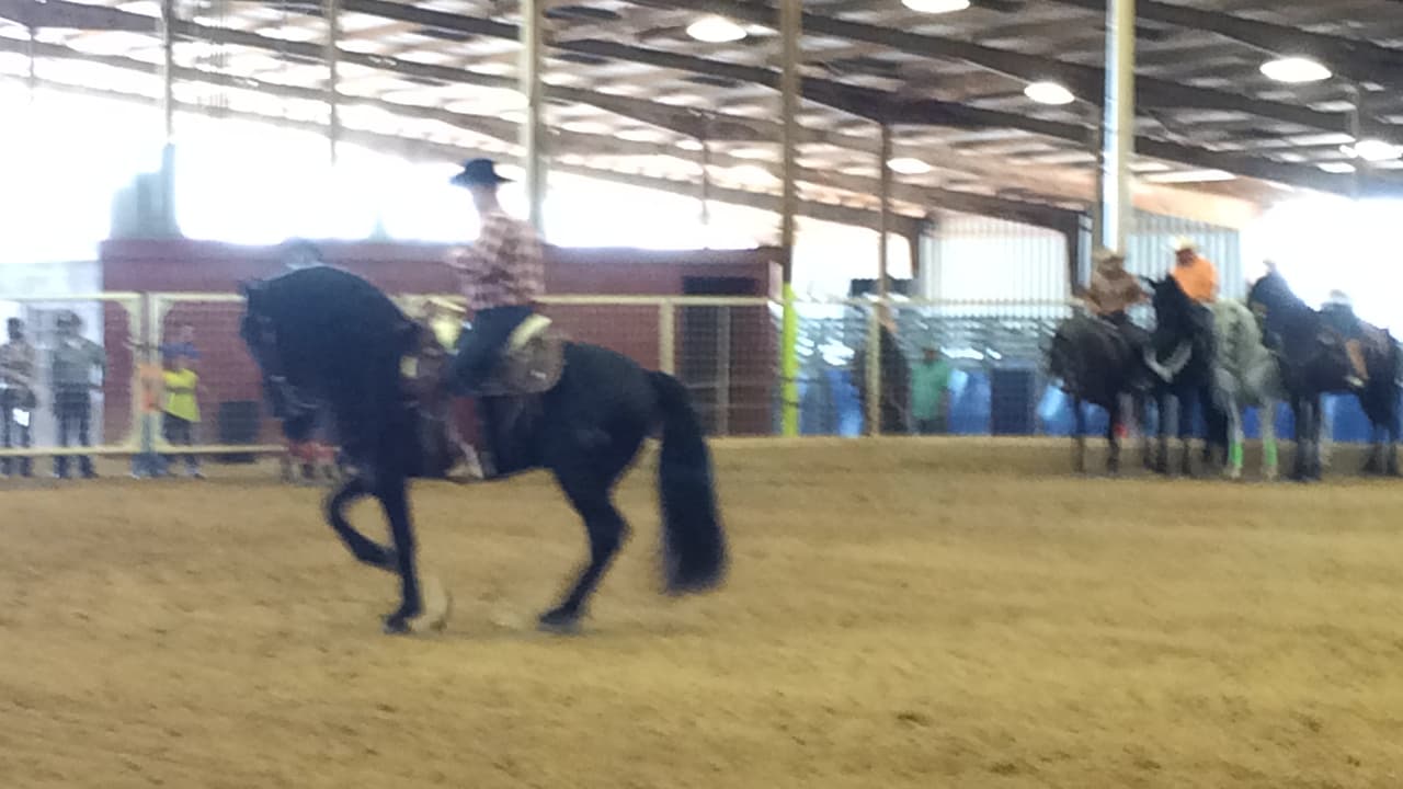 Univision convivió con la comunidad desde el Travis County Expo Center para celebrar las Fiestas Patrias.