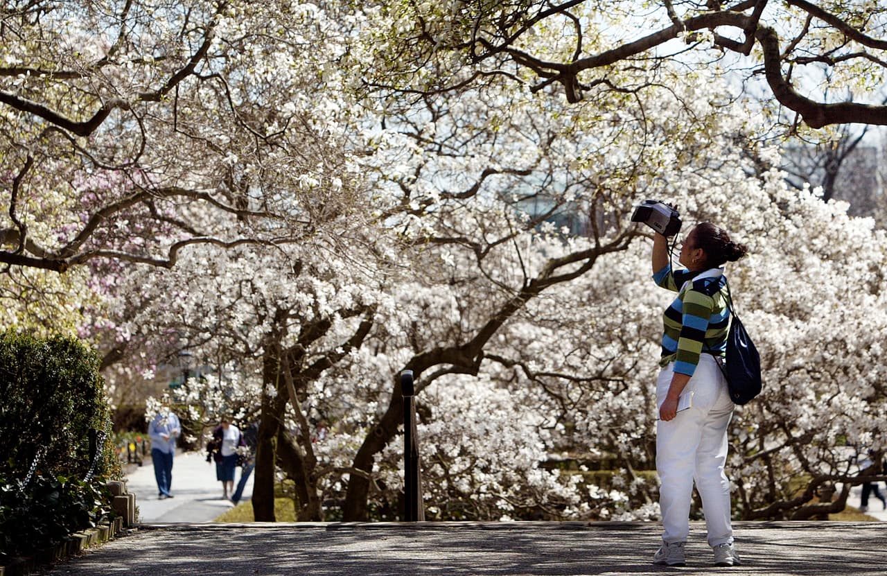 Entrada gratis al Jardín Botánico de Brooklyn