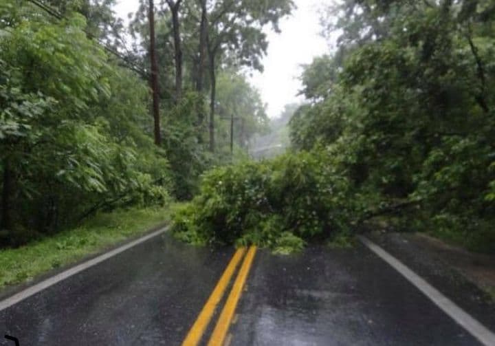El condado de Sumter ha recibido más de 6 pulgadas de lluvia con la tormenta Sally y han respondido a muchos informes de árboles en la carretera durante la noche y temprano en la mañana., según informó Sumter County Fire & Rescue.