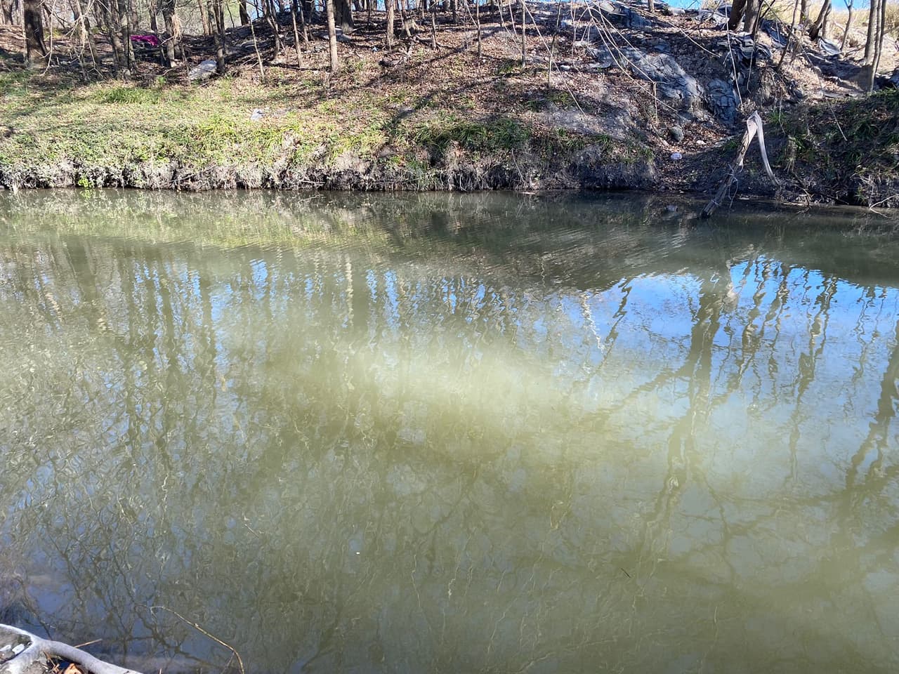 El FBI llevó a cabo una búsqueda en el lecho de un arroyo ubicado en la cuadra 5700 de Babcock Road con la colaboración de un equipo de búsqueda subacuática y en respuesta de confidencias dadas a las autoridades federales.
