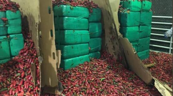 Las autoridades señalaron que el camión era manejado por un hombre de nacionalidad mexicana de 37 años.