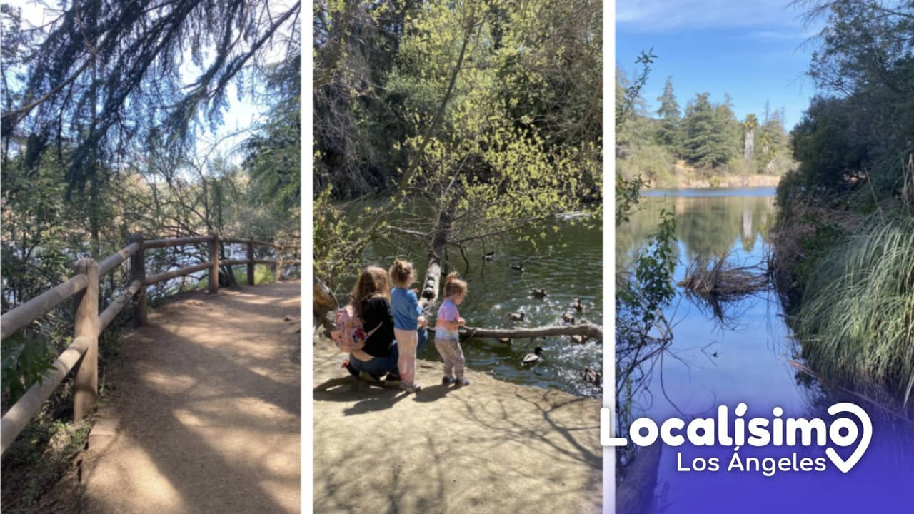 <b>¿No tienes planes para el el fin de semana de Memorial Day?</b> Ve al Franklin Canyon Park, que tiene unos 605 acres cerca del centro de Los Ángeles, entre el Valle de San Fernando y Beverly Hills.
<br>
<b>Dirección:</b> 2600 Franklin Canyon Dr, Beverly Hills, CA 90210
<br>
<b><a href="https://www.google.com/maps/dir//franklin+canyon+park/data=!4m6!4m5!1m1!4e2!1m2!1m1!1s0x80c2bdcb8f3f71f3:0xf54f53705bdbafb?sa=X&ved=2ahUKEwj1n9WDv4D4AhXbqo4IHT3zBMkQ9Rd6BAh1EAU" target="_blank">Cómo llegar</a></b>
<br>
<b>Precio de entrada</b>: gratis