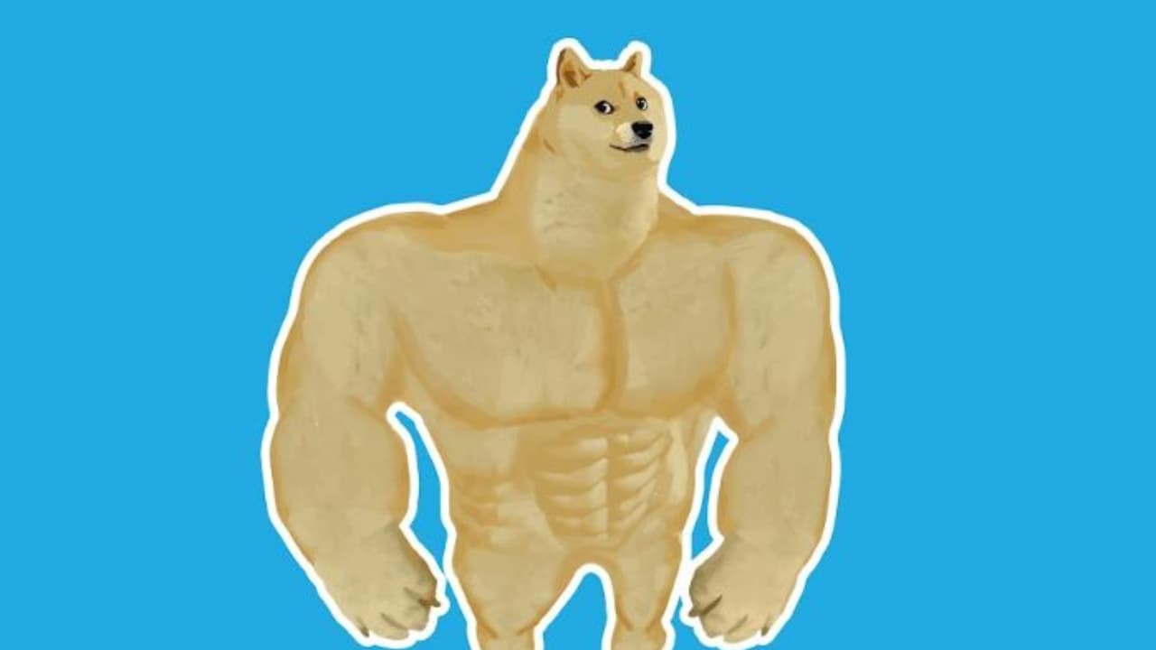 ¿Qué hongo, onda? ¿Quiuvas?