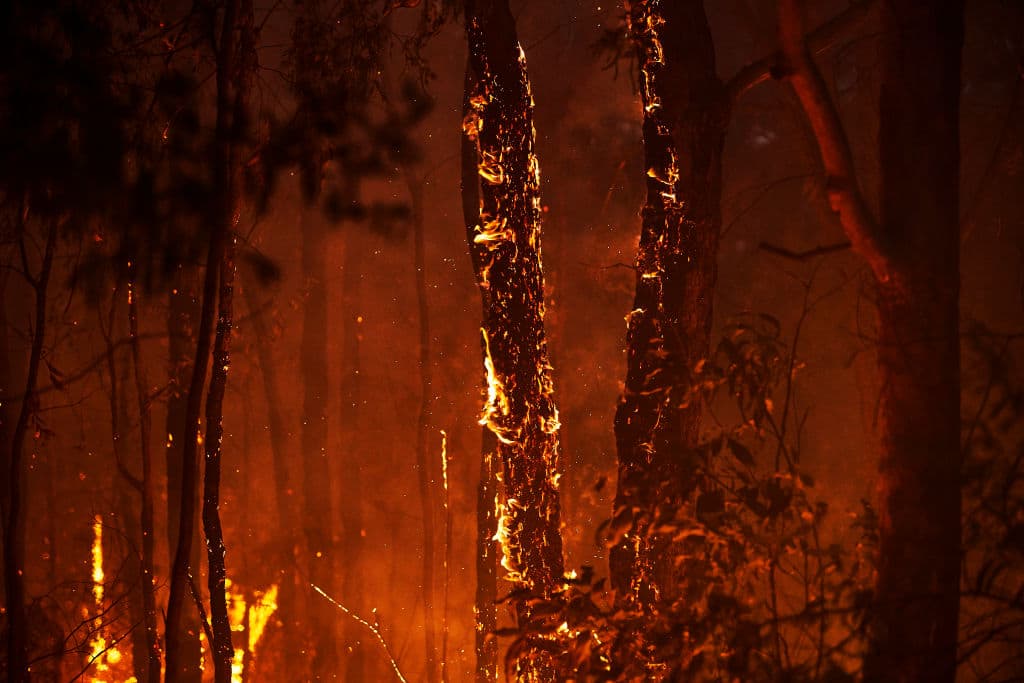 Son más de 1,500 casas destruidas, desde septiembre que se propagaron los incendios.