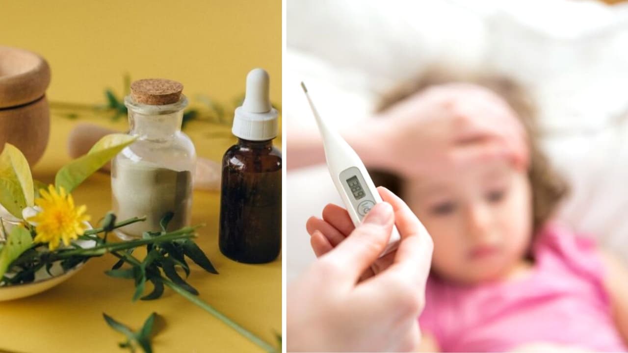 “Raíces curativas”: ¿Cuáles son y qué tanto ayudan a niños con enfermedades respiratorias en California? 