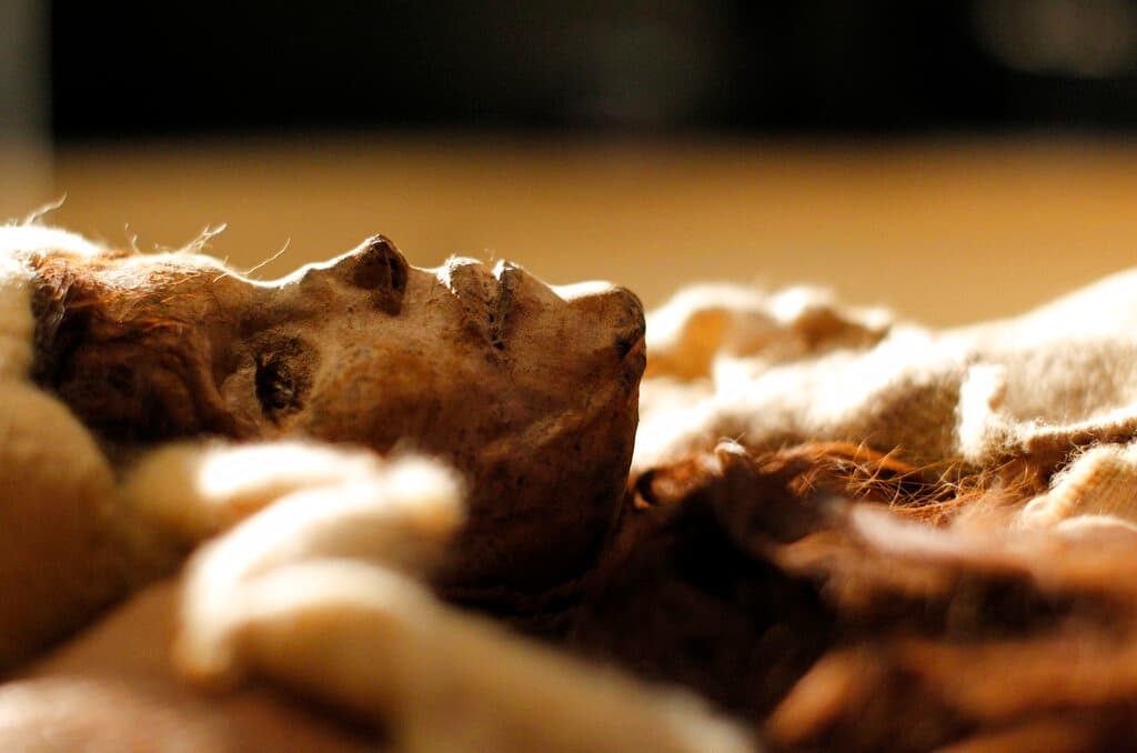 Los científicos determinaron que este grupo de pobladores permaneció aislado genéticamente, es decir, no se mezcló con otras comunidades para reproducirse, sin embargo, estableción contacto cultural y comercial.