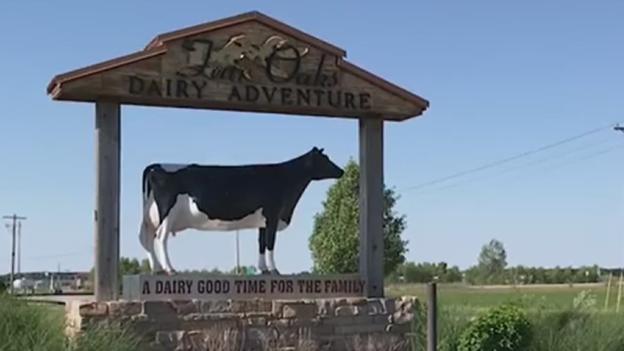 Supermercados retiran productos de leche marca ‘Fairfield’ tras video que evidencia el abuso a becerras