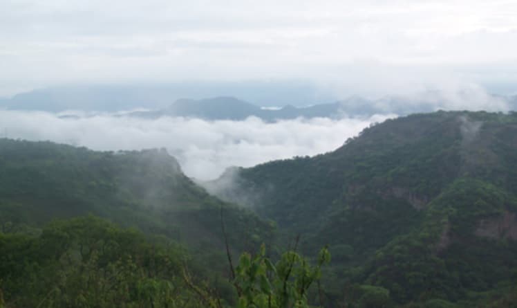 <h3 class="cms-H3-H3"><b>5.- Área de Protección de Recursos Naturales</b></h3>
<br>
<b> Nayarit</b>
<br>
<b> </b>
<br>
<b> </b>Conafor estimó que en el estado de Nayarit y en sus áreas protegidas, 
<b>los incendios forestales podrían duplicarse este año</b>, debido a una intensa sequía. En lo que va de 2021 se han quemado 275 hectáreas, 264 más que las que se habían quemado el año pasado para esta fecha.