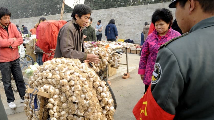 Por qué el senador Rick Scott cree que el ajo chino es un riesgo de "seguridad nacional" para EEUU