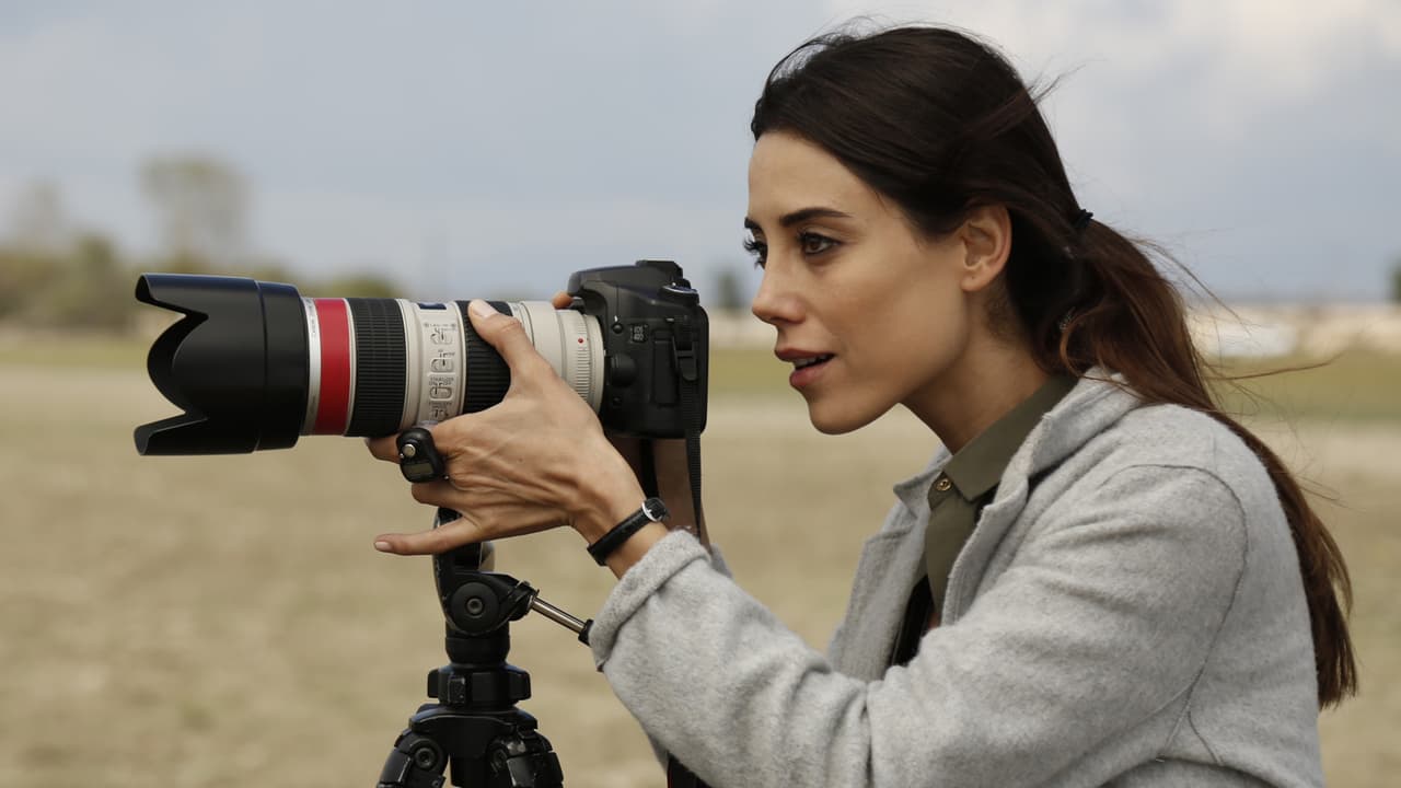 Cansu Dere como Zeynep Güneş