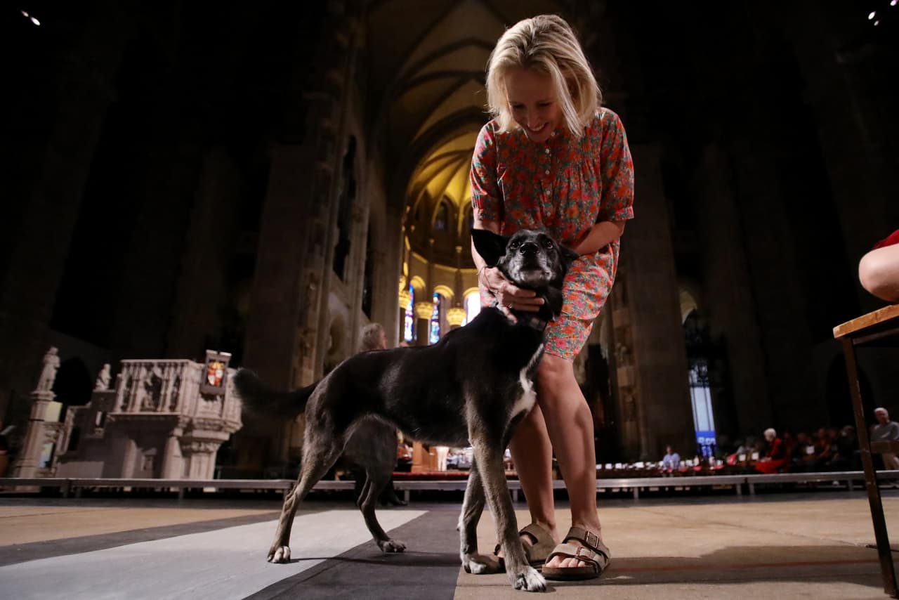 La catedral de St. John the Divine, está ubicada en el 1047 de la avenida Amsterdam con la calle 112 en Manhattan.