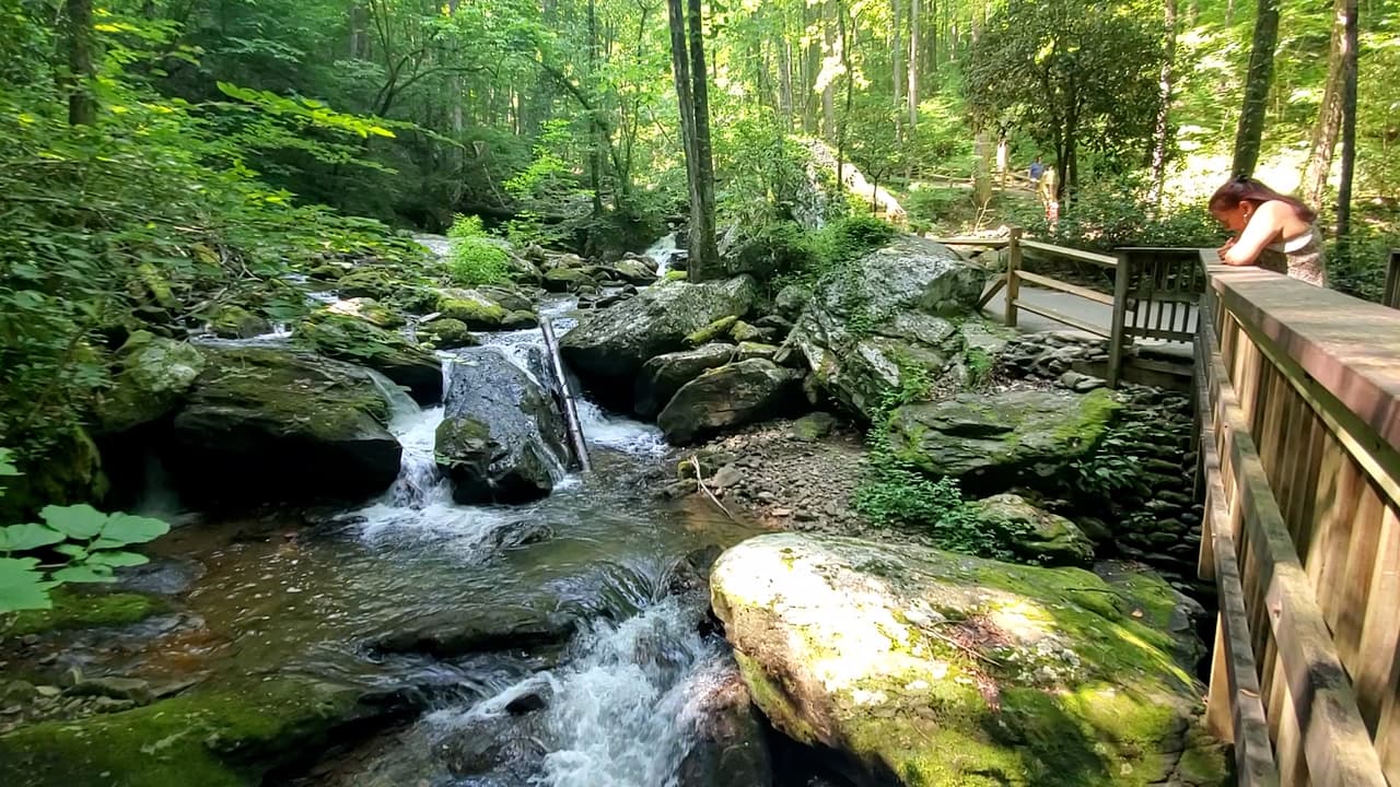 Smith Creek, un afluente pacífico del río Chattahoochee, serpentea desde la base de las cataratas Anna Ruby hasta el lago Unicoi y es un famoso lugar de pesca de truchas.