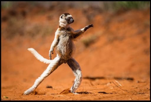 ¡Alguien quiere imitar el famosísimo 'Moonwalk'!