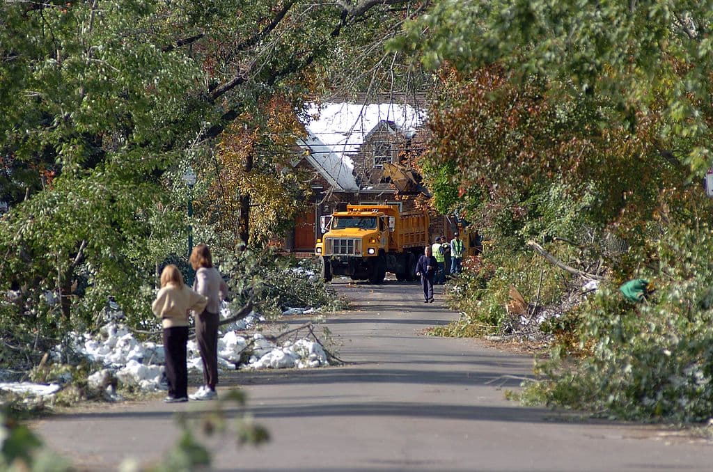 <b>Viernes 13 de octubre, 2006</b>
<br>Una intensa tormenta de nieve dejó devastado a Buffalo, Nueva York, con más de 24 pulgadas de nieve cubriendo las calles y derrumbando árboles por doquier. Más de un millón de personas quedaron damnificados, sin electricidad durante más de una semana y algunos hasta perdiendo sus hogares.
