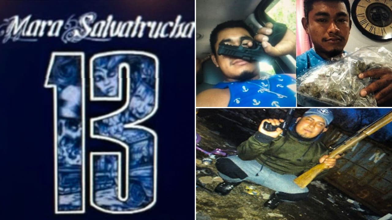 "Salvajismo y brutalidad": Acusan a miembros de la MS-13 de asesinar con machete y bate a una madre