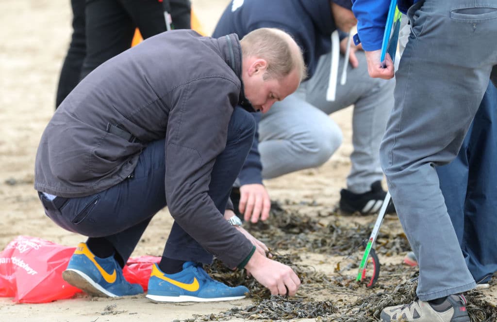 También criticó el hecho de que el duque de Cambridge no hubiera hecho nada para detener su prematura calvicie: "El futuro rey de su país 
<b>dejó que se le cayera el pelo</b>, así es cuando digo que los británicos dejan la vara muy baja (en cuanto a la vanidad de los británicos)", dijo Lowe.