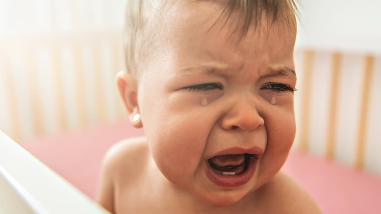 Los primeros mil días en la vida de un niño que es el equivalente a 3 años, son básicos para su desarrollo porque esa educación temprana marcará un gran precedente en su futuro como adulto, explica la organización Children at Risk.