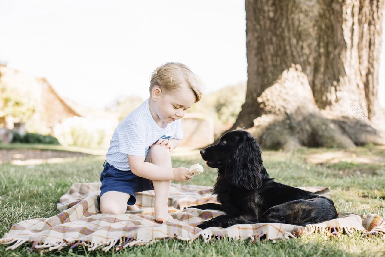 De hecho, entre las primeras fotos oficiales del niño tras su nacimiento el 22 de julio de 2013, aparece Lupo junto a él y a los duques. 
<br>