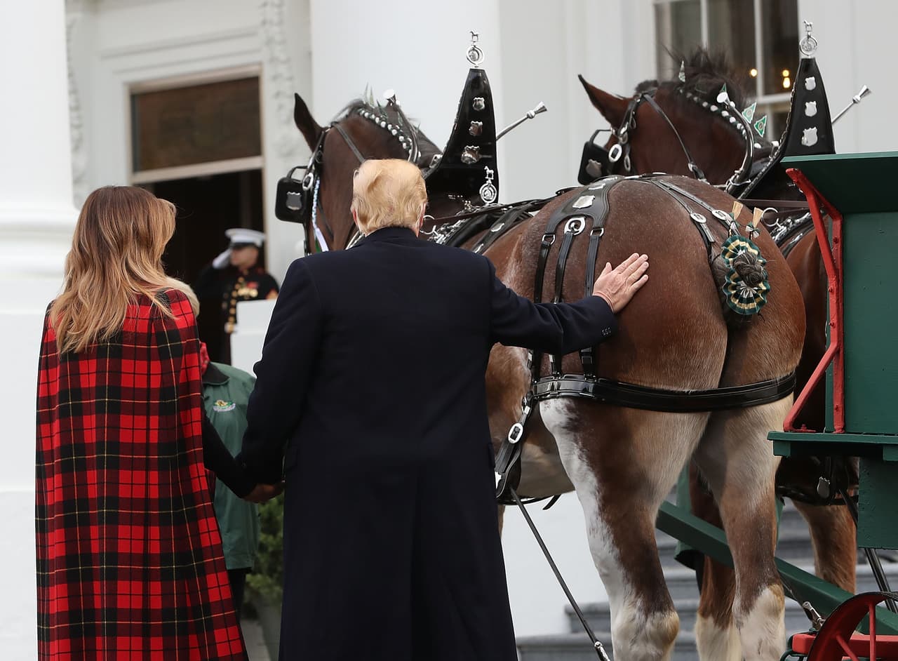 El presidente dio una palmadita a uno de los caballos de la carreta.
<b>La llegada del árbol a la Casa Blanca marca el inicio formal de las festividades navideñas.</b>