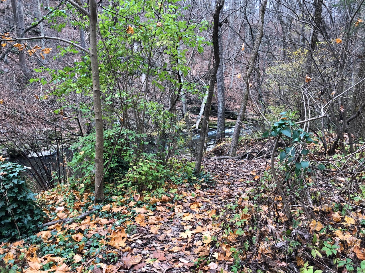 Los visitantes pueden descubrir infinidad de pequeños senderos ocultos.