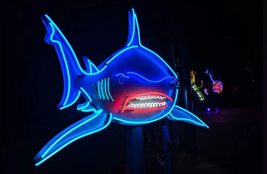 El ya impresionante evento artístico se convierte en una experiencia fenomenal y es una manera maravillosa de beneficiar al jardín.