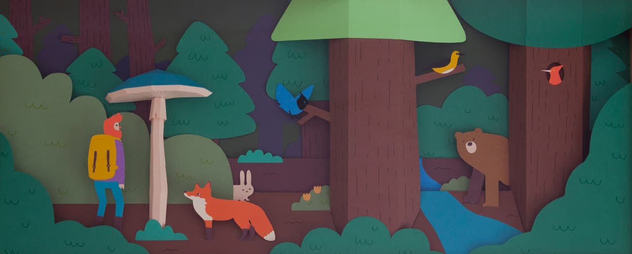 En honor a la fauna del mundo, crearon animales.