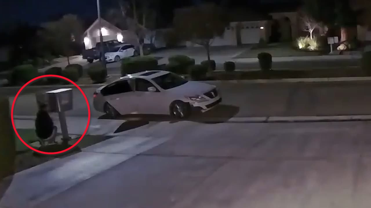 Ladrones de buzones de correo son atrapados en acción tras ser captados en video