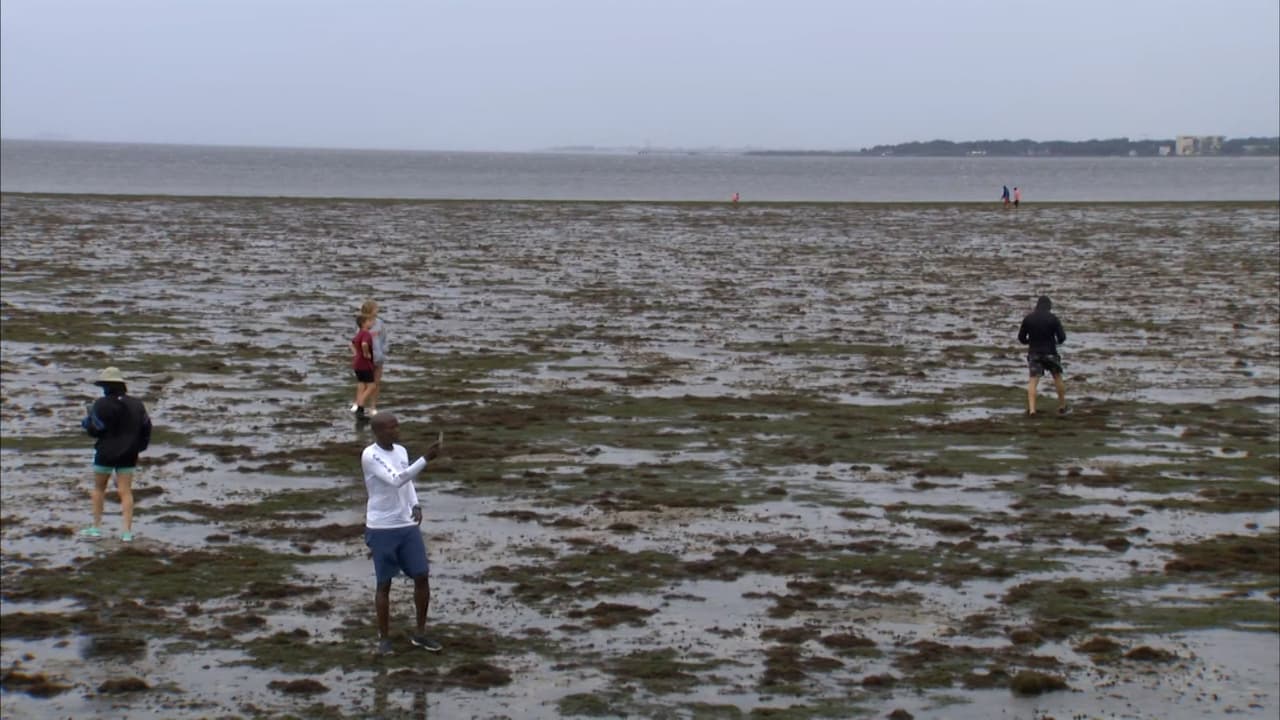 Esta es la razón por la que el agua desapareció de la costa antes de la llegada del huracán Ian