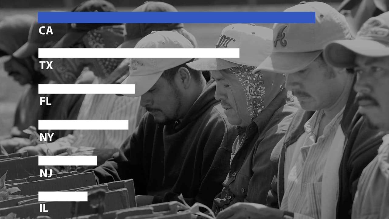 ¿En dónde están y qué hacen los inmigrantes indocumentados en EEUU?