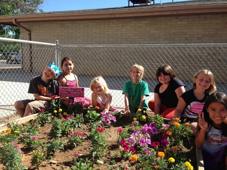 El programa de Centros de Aprendizaje de la Comunidad para el Siglo XXI ofrece apoyo a programas extraescolares que ofrecen intervención académica, actividades de enriquecimiento, y actividades de desarrollo de los jóvenes.