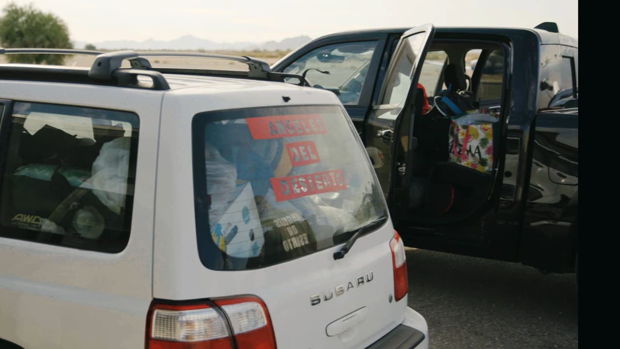"Cuando vimos eso tratamos de apoyar, de buscar la forma de ayudar para que no murieran y fue cómo se empezó este proyecto", dice Hernández.