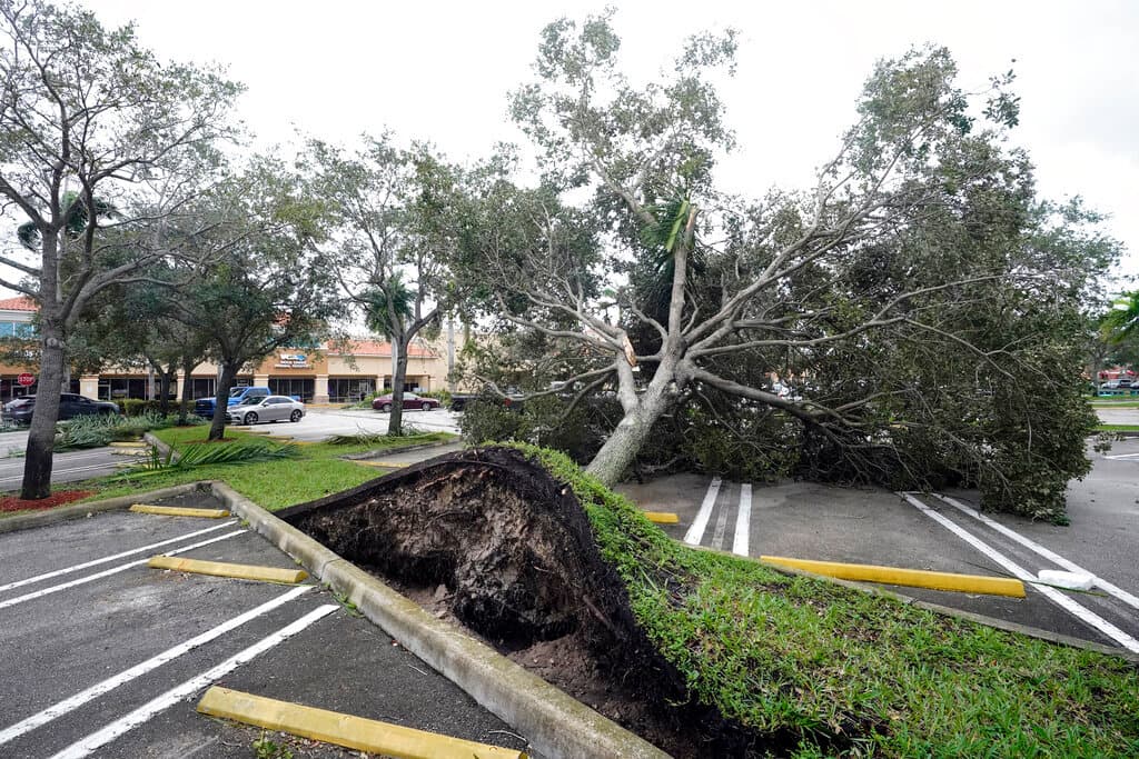 La fuerza del viento también arrancó árboles en zonas urbanas. Las autoridades no han dado a conocer cuántos cayeron, pero no se han reportado heridos, hasta el momento.
