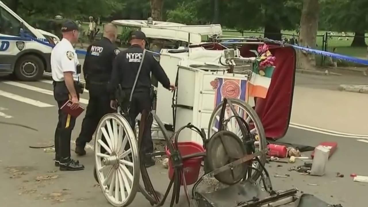 ¿Qué pasará con los carruajes de caballos en Nueva York? se espera audiencia para valorar prohibición