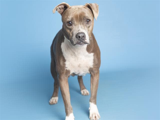 Chiquita irradia ternura. Es una niña de 4 años que busca un hogar para dar y recibir amor.