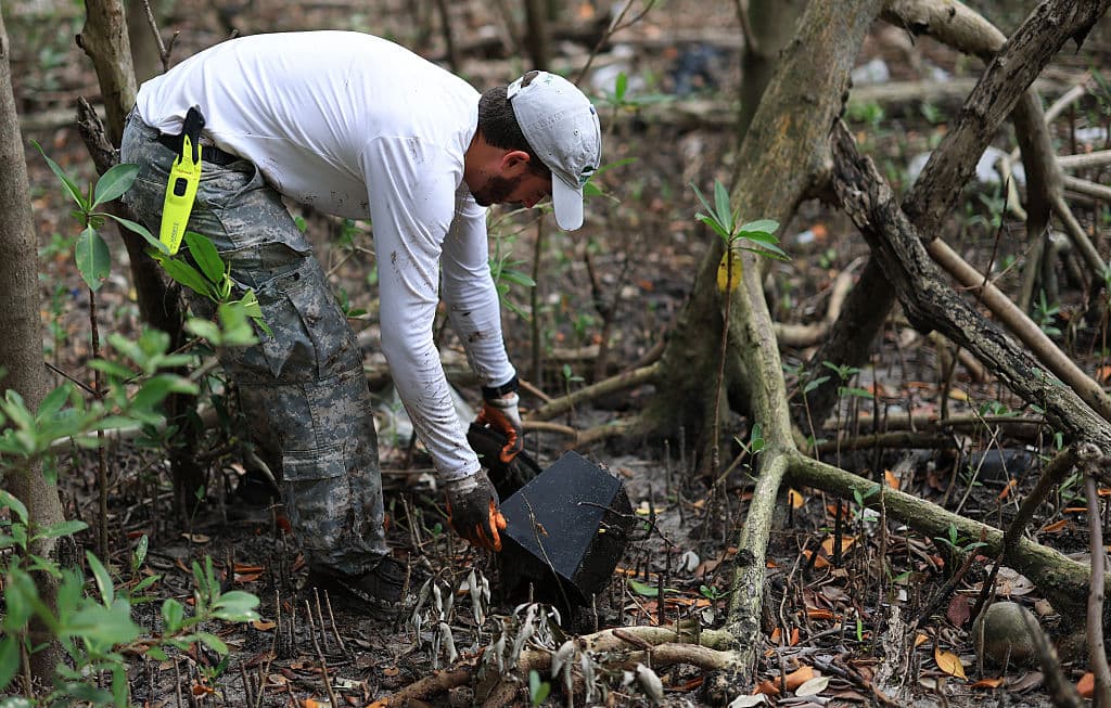 Andrew Otazo "celebra" el Día de la Tierra con una labor admirable.