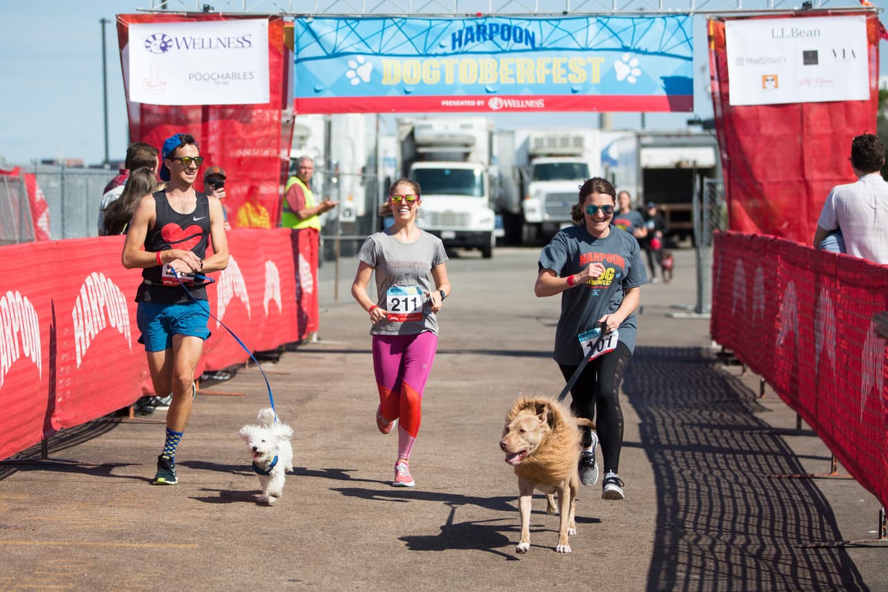 Evita hacer ejercicios extremos con tu perro durante los días de mucho calor. Para un perro, dependiendo de su tamaño y peso, una larga caminata bajo el sol puede representar un riesgo importante para su salud.