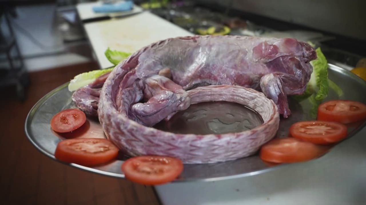 Es un plato para paladares arriesgados, una tradición ancestral mexicana: iguana al estilo Guerrero