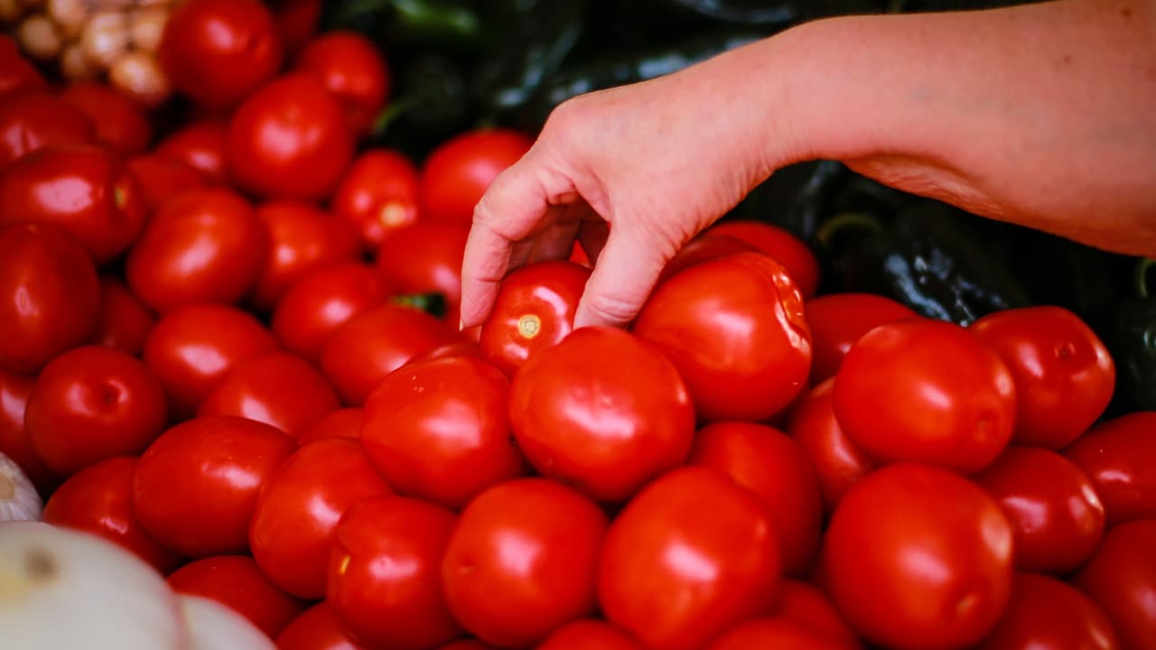 "Les van a salir más caras sus ensaladas, no nos pueden sustituir": México advierte a EEUU por aranceles a sus tomates